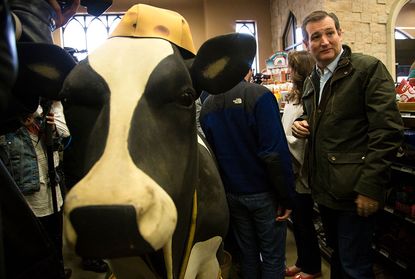Ted Cruz campaigns in Wisconsin