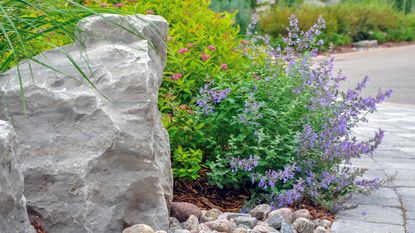 landscaping with a boulder and planting