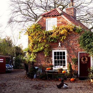 country cottage with halloween decoration