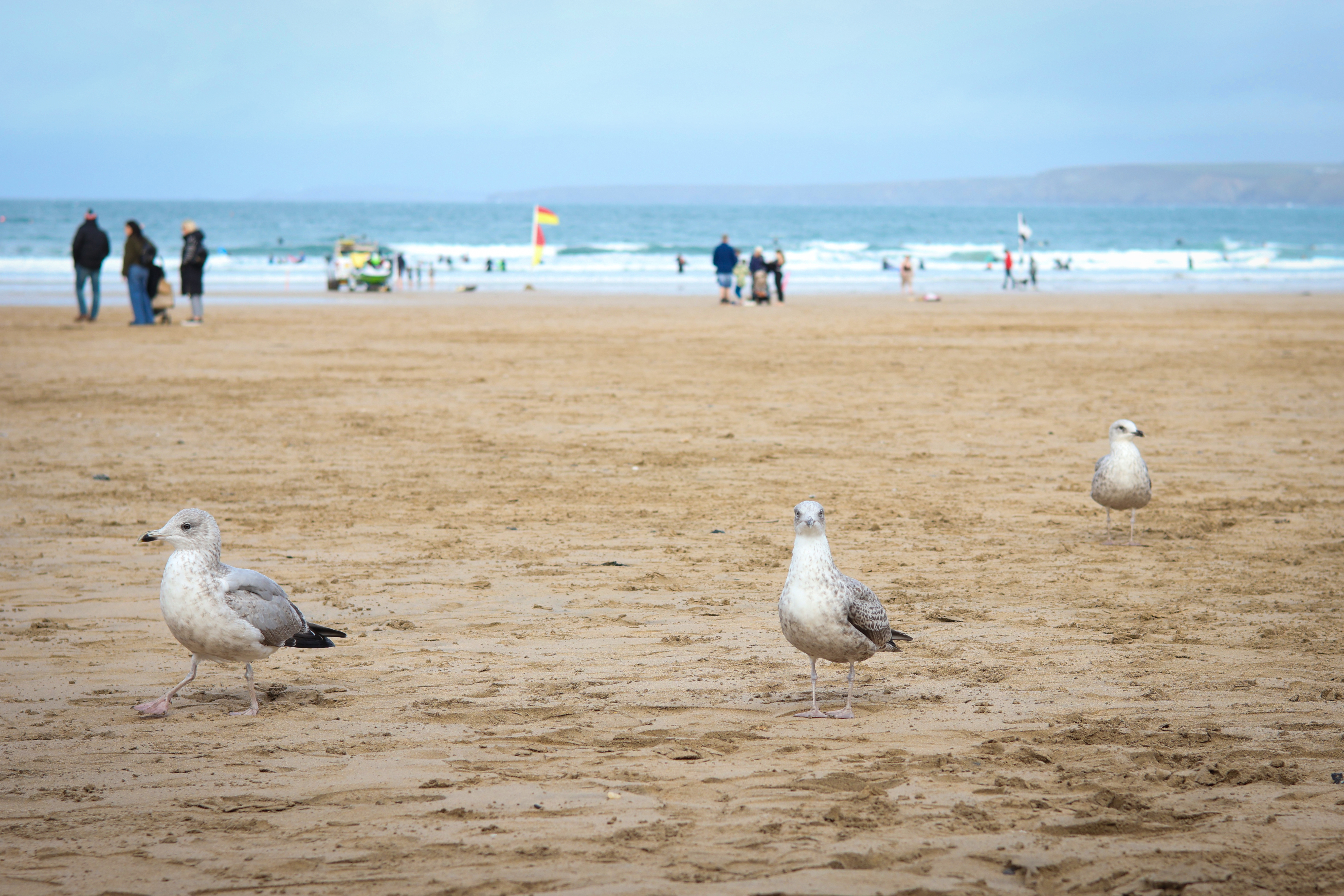 Sample image taken with the Canon EOS R50 V