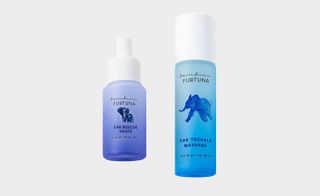 Bambini Furtuna ear rescue drops and ear trouble massage oil against grey background