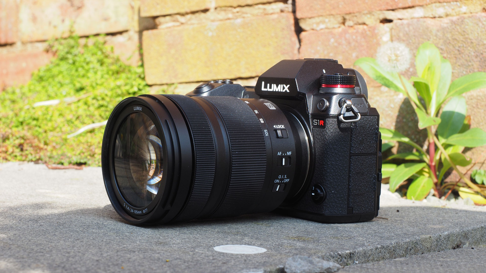 best professional camera: Panasonic Lumix S1R