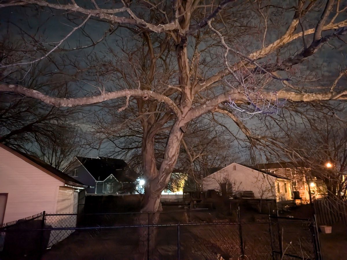 Google Pixel 8a low light sample.