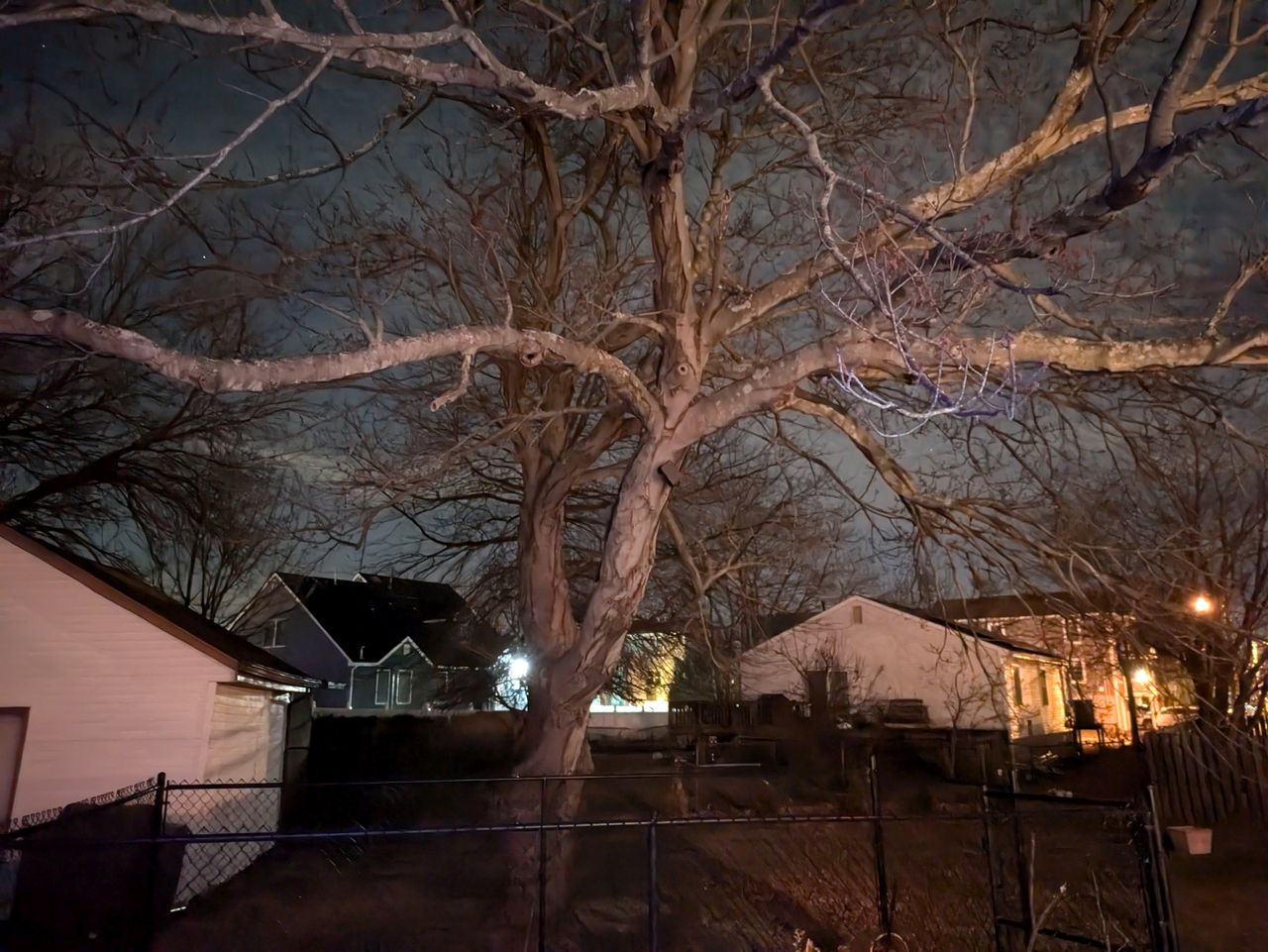 Google Pixel 8a low light sample.