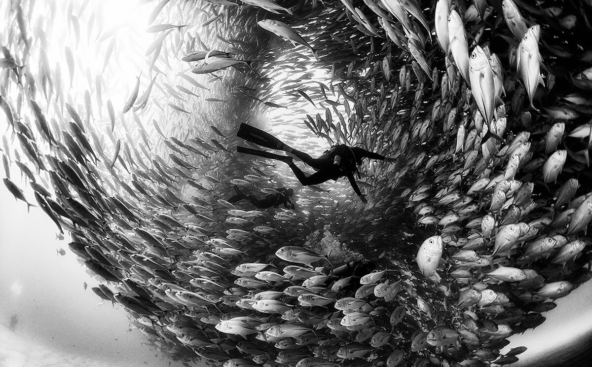 Black-and-white images dominate top All About Photo Awards 2020 winners