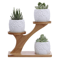 14. Owl succulent pots with 3-tier bamboo stand | $28.80