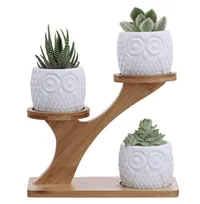 14. Owl succulent pots with 3-tier bamboo stand | $28.80