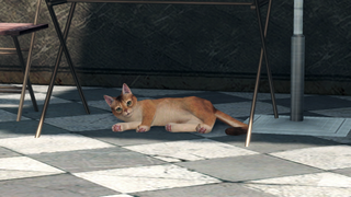 A cat chilling in Xenoblade Chronicles X: Definitive Edition