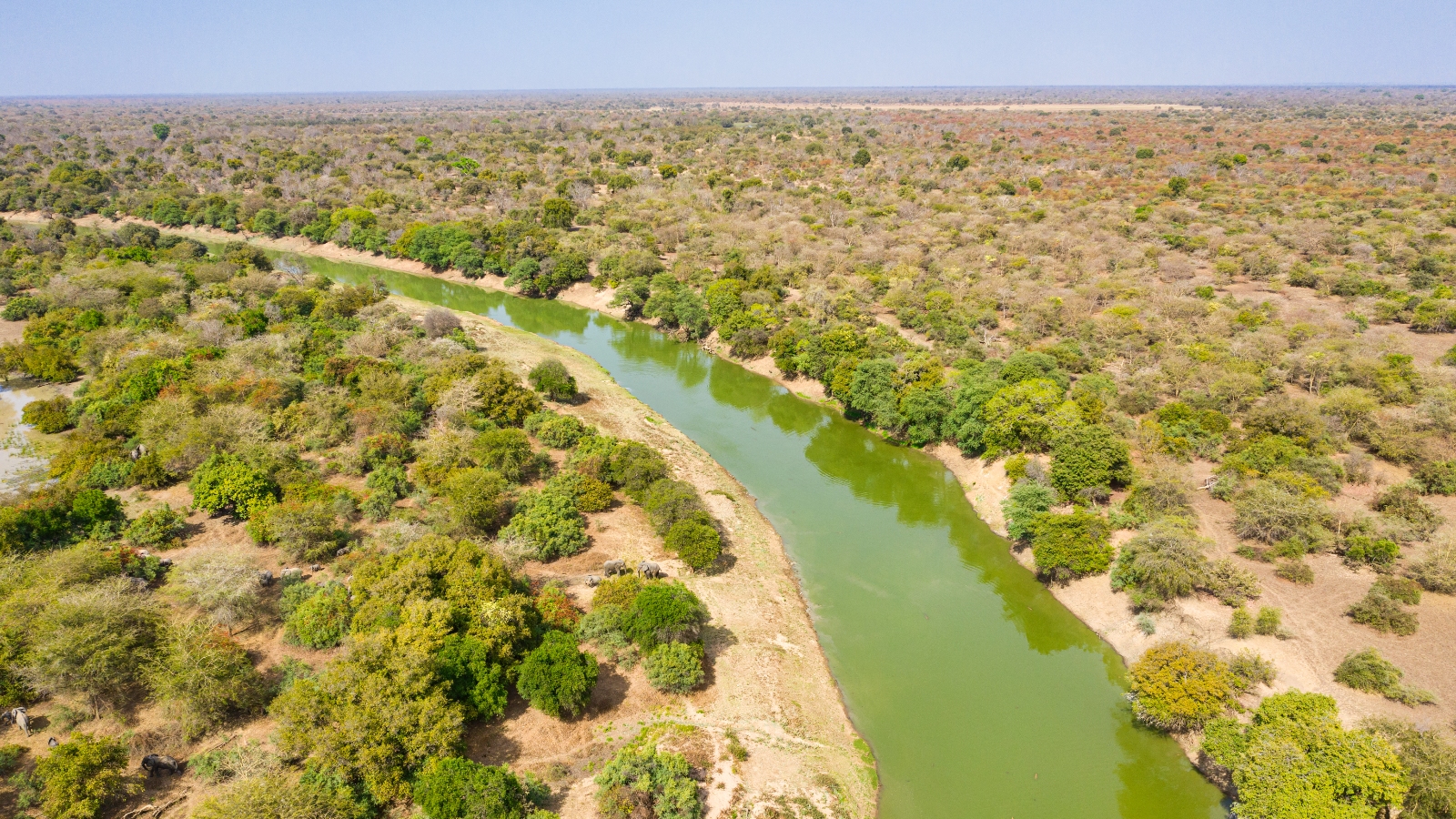 A photo of a green river bending through a savannah-like environment in Africa