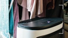 picture of a dehumidifier near clothes drying