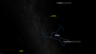 Look south close to midnight for a spectacular winter sky full of bright stars and planets.