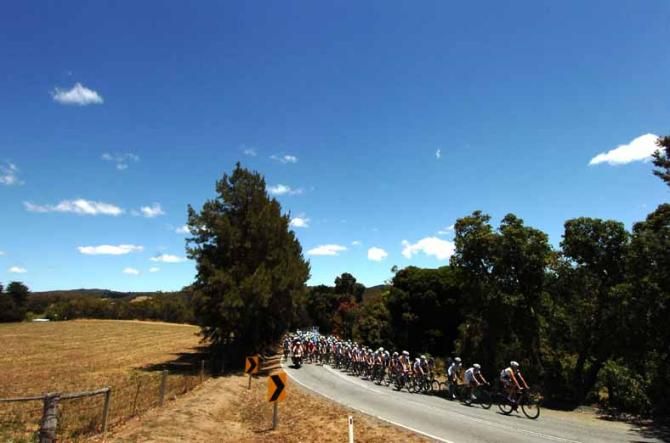 The Tour Down Under peloton toils in warm sunshine.