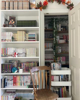 Closet filled with books