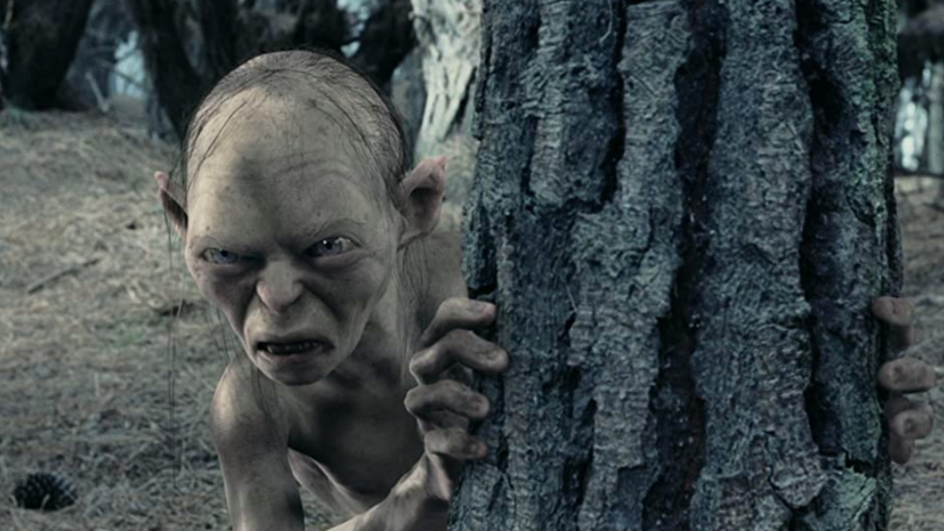 The Lord of the Rings The Two Towers' famous Gollum monologue was not  directed by Peter Jackson: 'Had no time