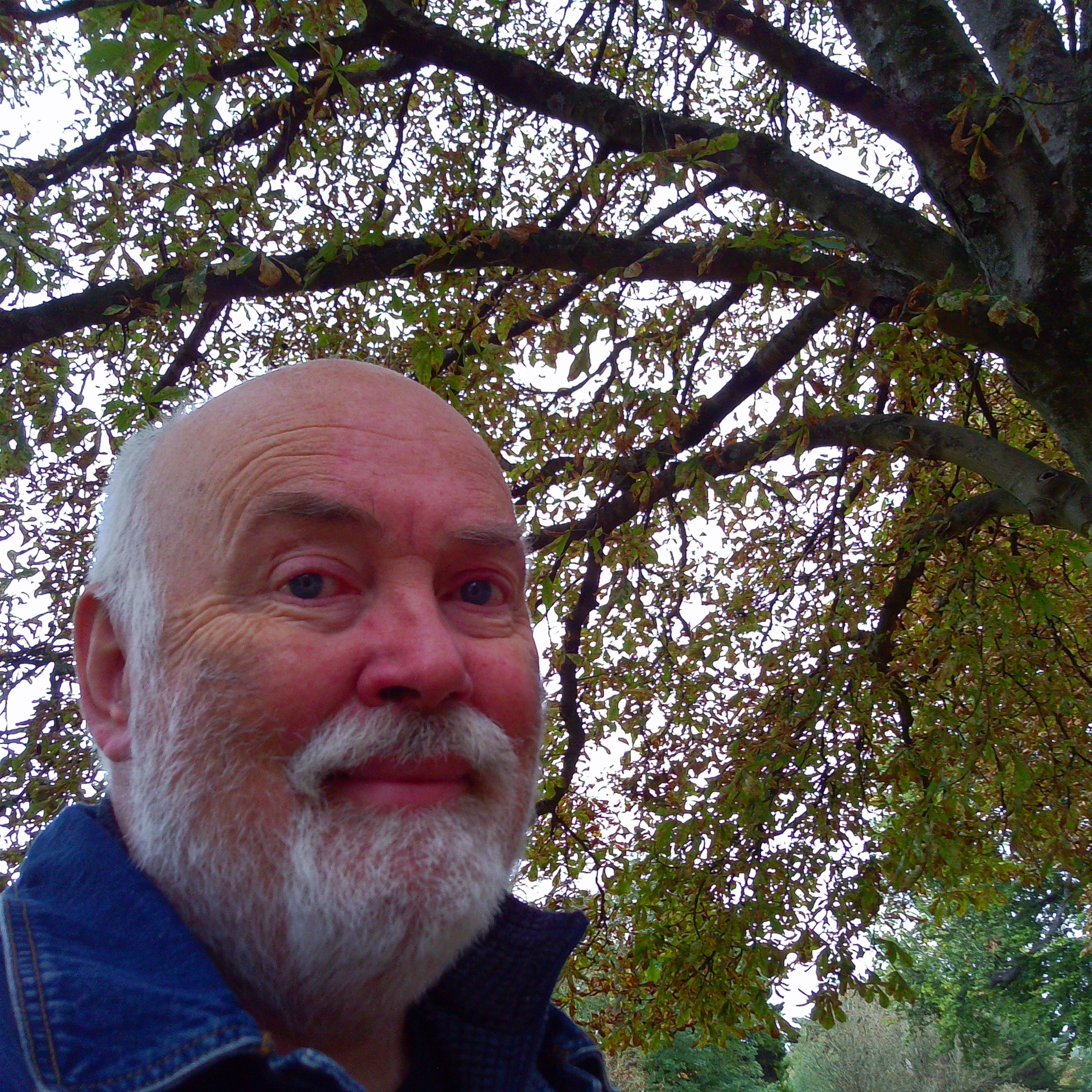 Chuzhao sample images