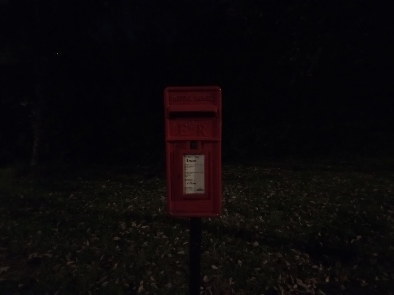 Xiaomi Redmi 9 camera sample