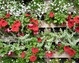 pallet wall planter filled with flowers