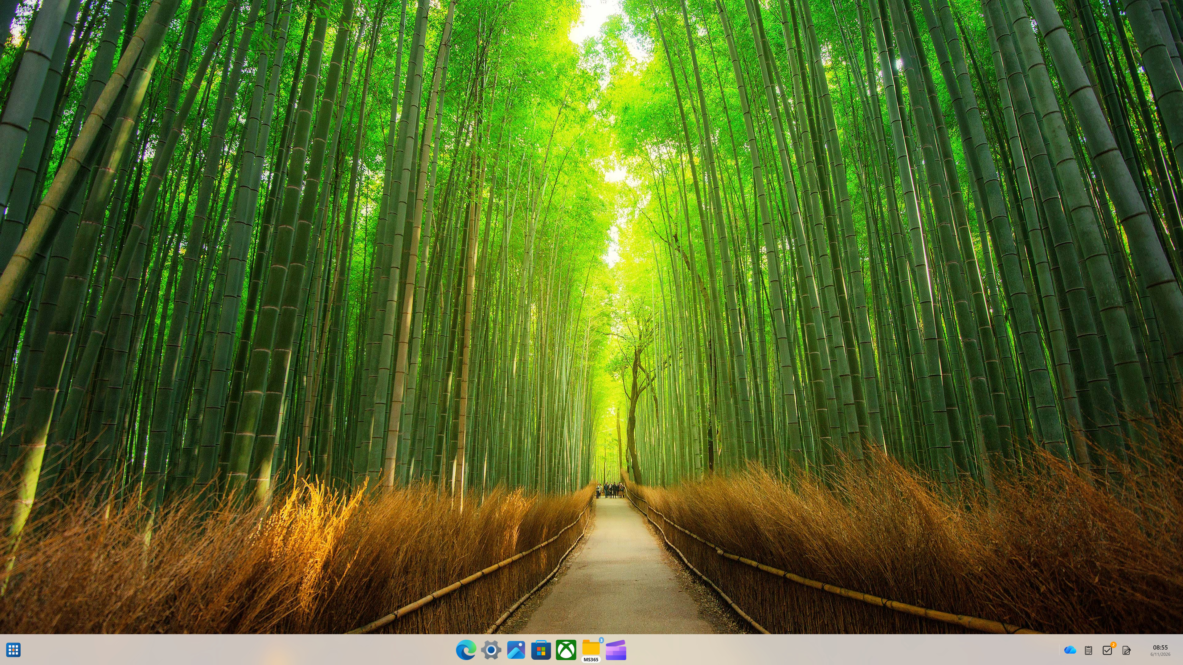 Windows 11 desktop with a GroDock taskbar at the bottom bottom displaying icons and the time "08:55".
