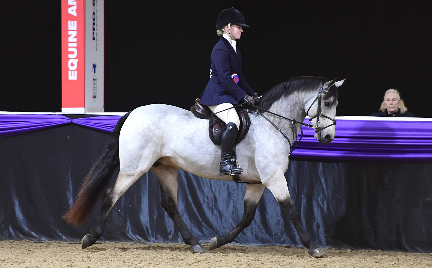 Heritage Show 16.10.2266834