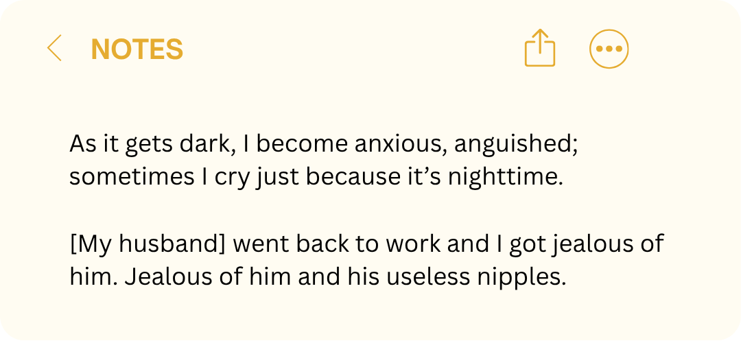 Notes app graphic reading, &amp;ldquo;As it gets dark, I become anxious, anguished; sometimes I cry just because it&amp;rsquo;s nighttime,&amp;rdquo; followed by, &amp;ldquo;Jealous of him and his useless nipples.&amp;rdquo;