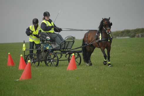 Mr J and Emily at a TREC task testing smooth driving &amp;mdash; the groom had to avoid dropping the egg off the spoon