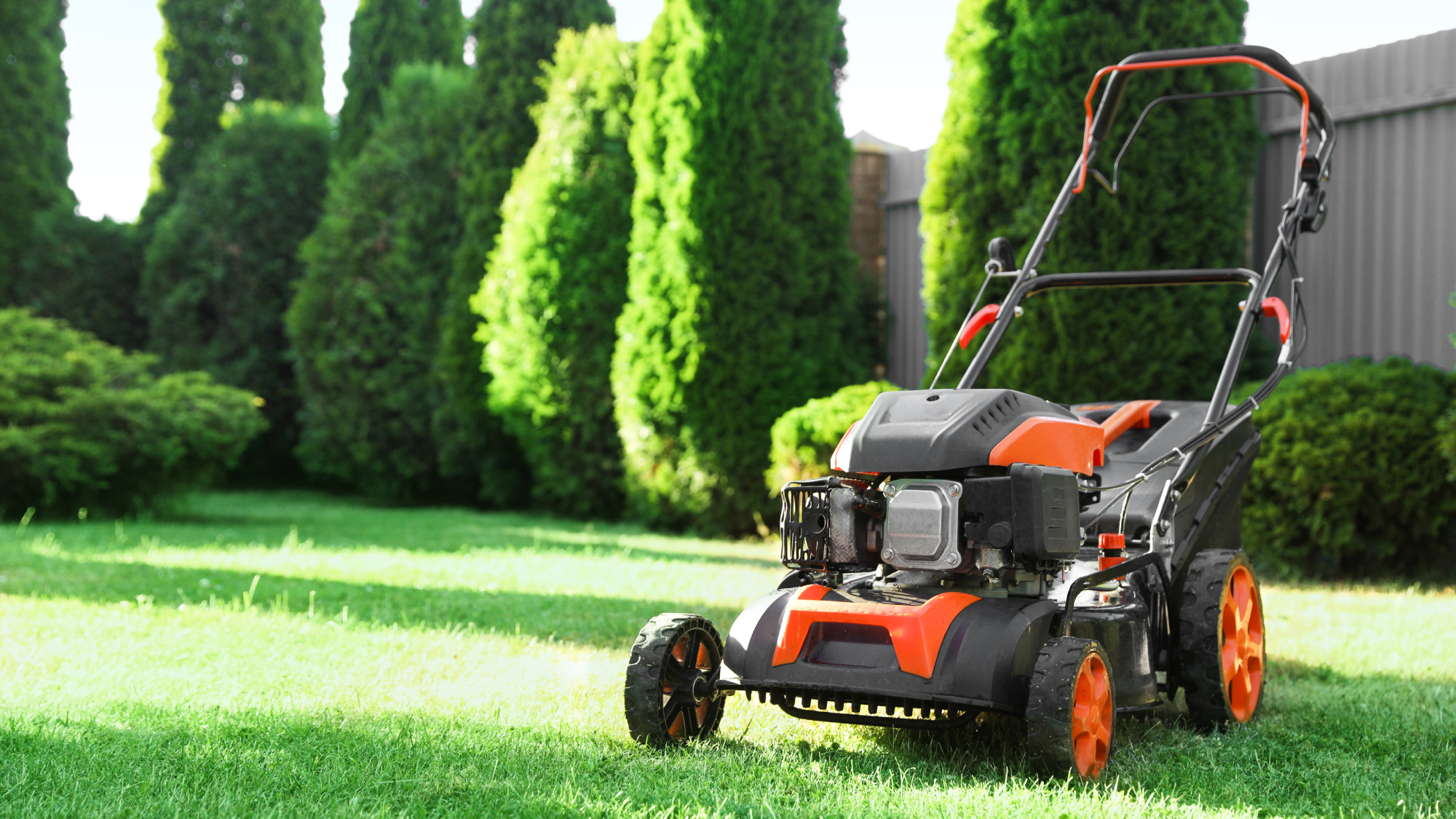 lawn mower in a manicured backyard 