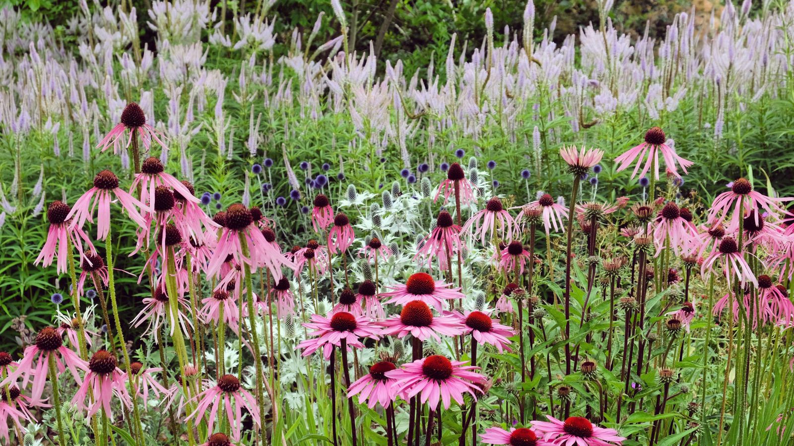 The ‘See-Through’ Planting Trend Designers Are Obsessed With Right Now And How To Achieve It