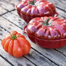 Staub 16 cm tomato Ceramic Cocotte cherry