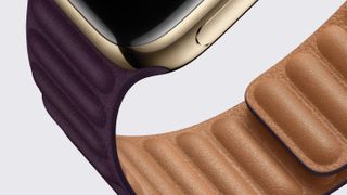 Apple Watch leather bands