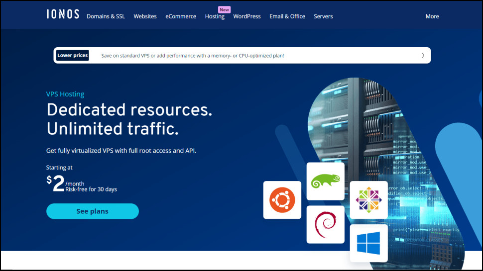 IONOS VPS hosting homepage screenshot