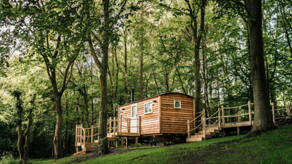 Wildwood Hut at The Tawny.