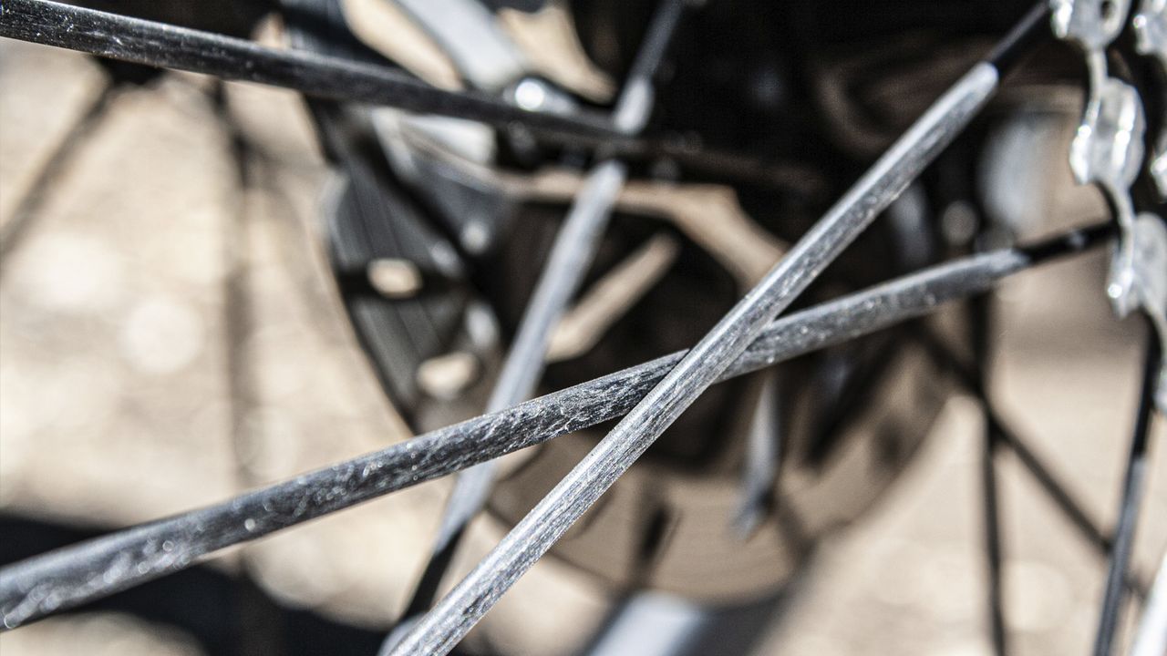 Scribe Elan Wide+ 32-D Carbon Spoke wheelset