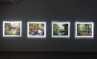 Installation View Of Bomb Ponds