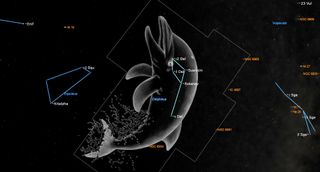 A giant transparent dolphin floats head-up in the starry night sky, mouth agape with a wide-open circular white eye. Cosmic water splashes at its tail as a boxy white outline traps the porpus in space.