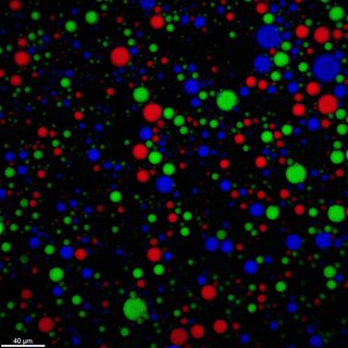 A microscope image showing droplets of varying sizes in red, blue, and green colors