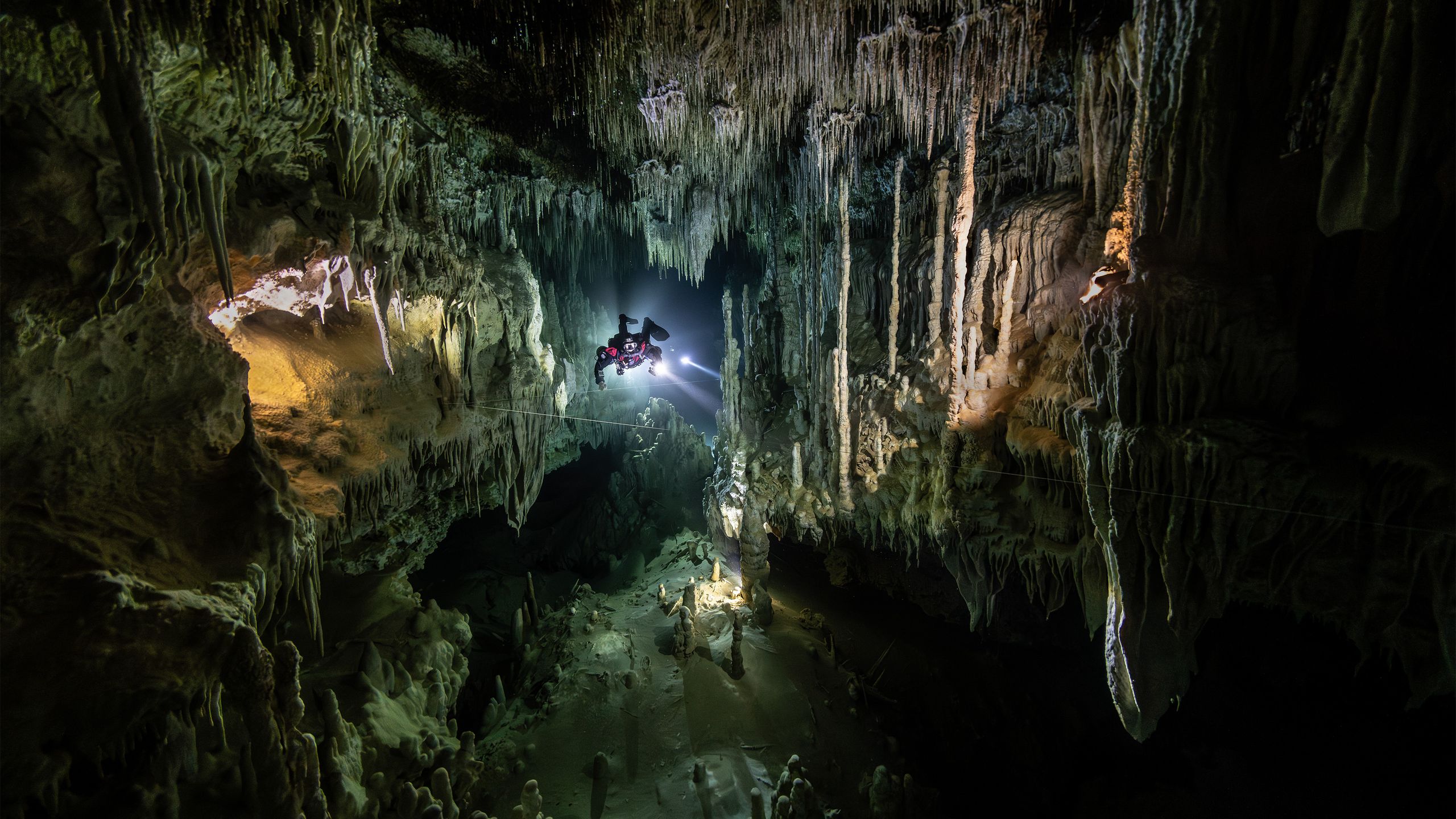 Award-Winning Underwater Image Highlights Fragile Ecosystems