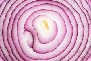 Onion Slice