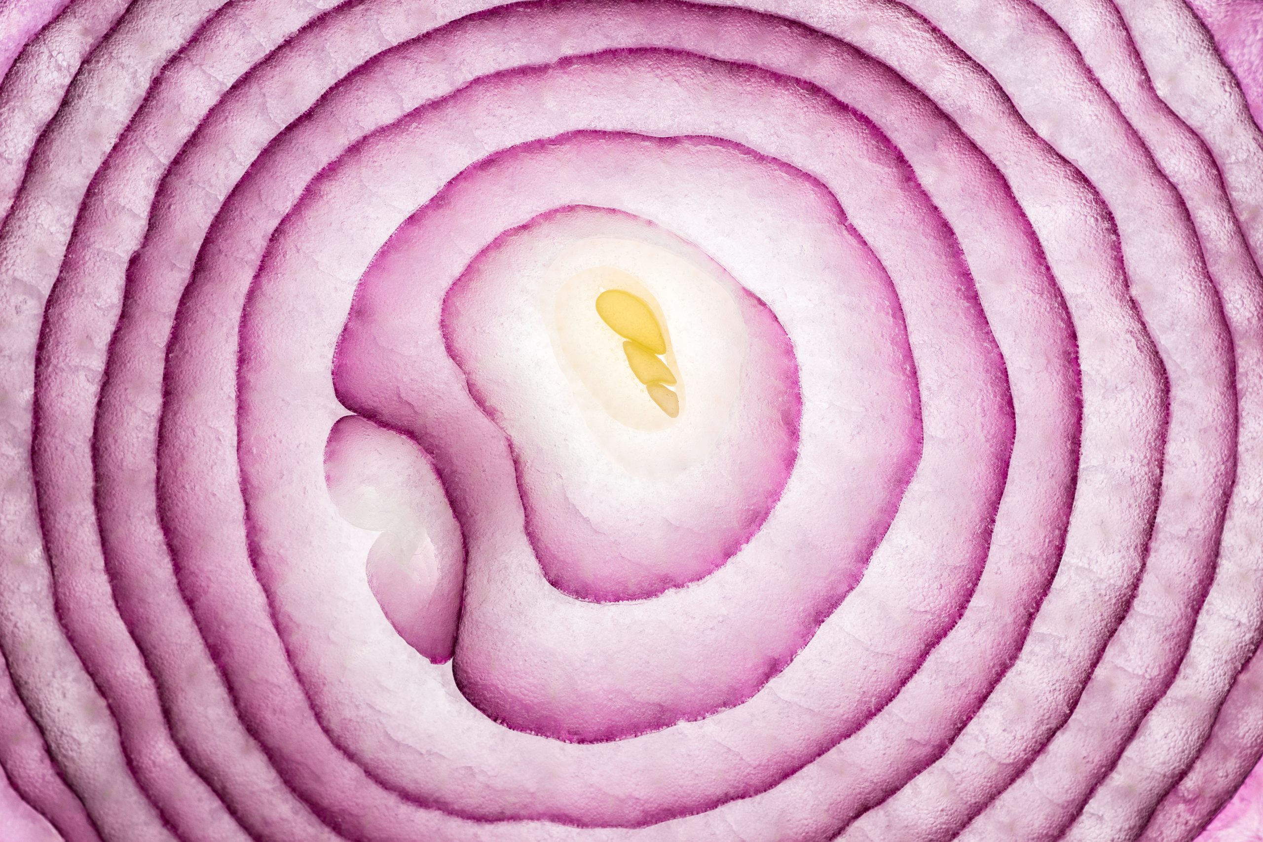 Onion Slice