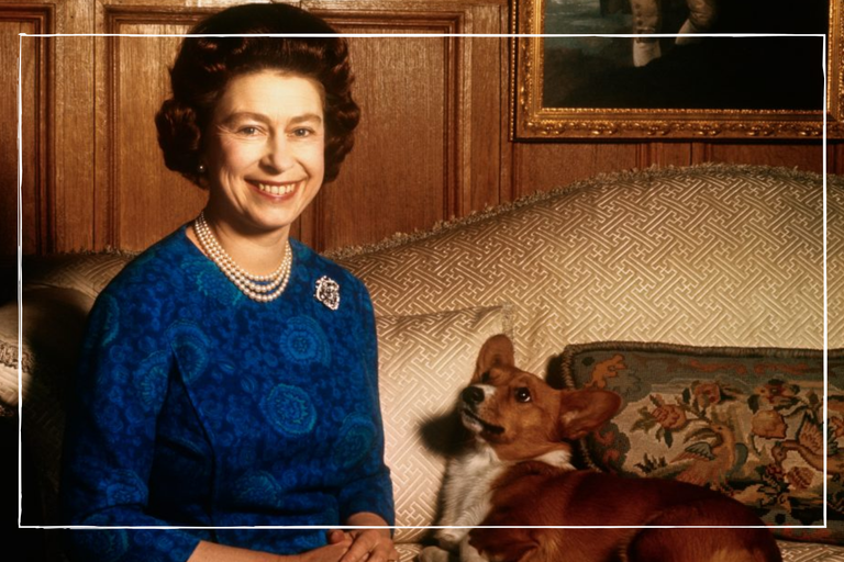 Queen Elizabeth II with a corgi in a photo with a white border