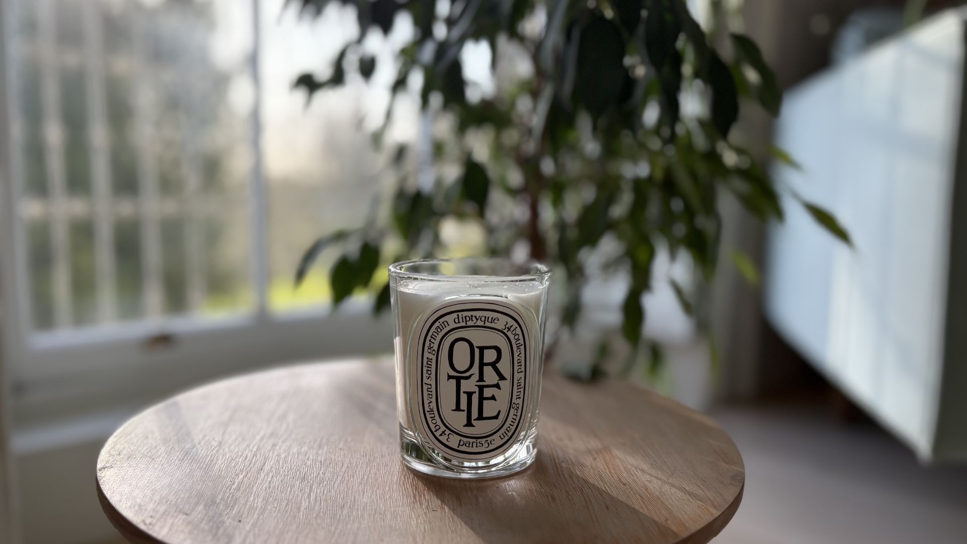 The Ortie Diptyque candle with a plant behind it