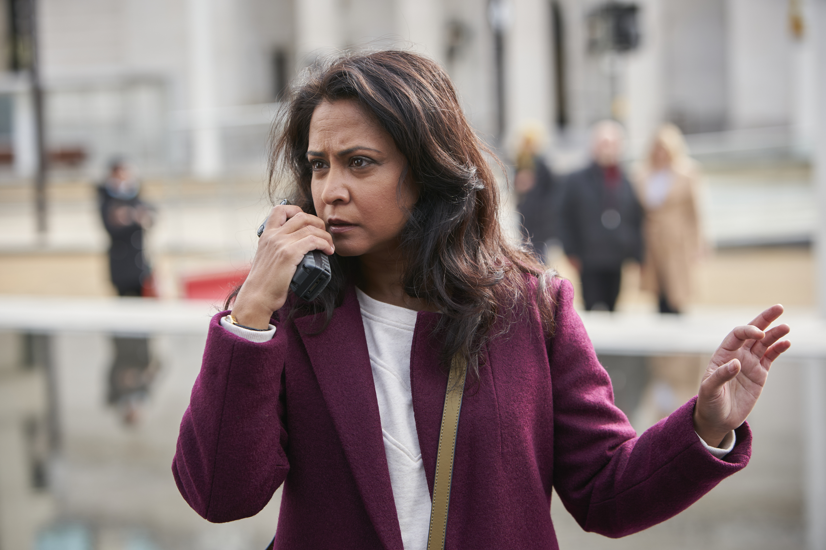 TV tonight Parminder Nagra stars.