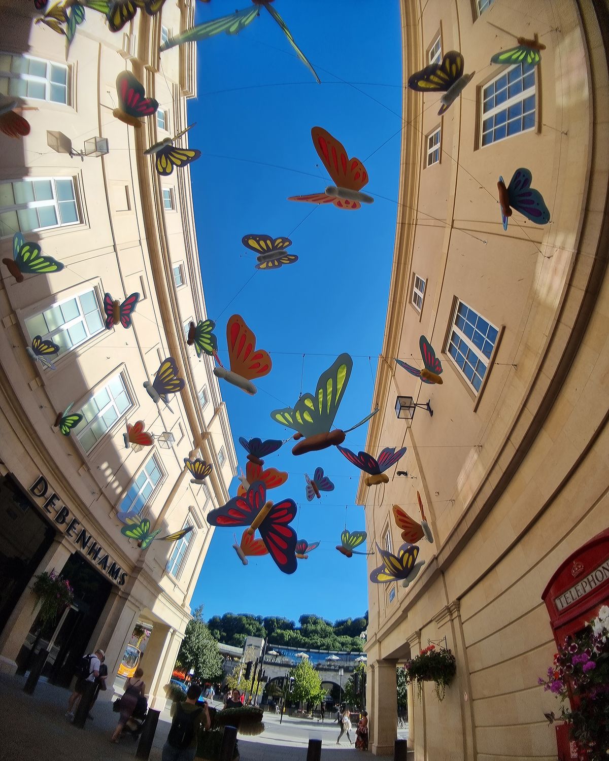 Moment Fisheye Lens Review