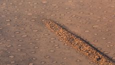 Aerial view of fairy circles in the Namib Naukluft Park, Namibia