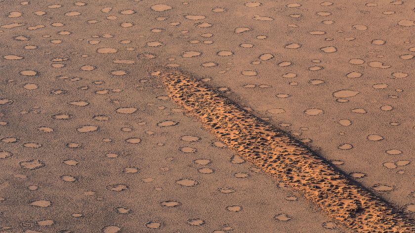 Aerial view of fairy circles in the Namib Naukluft Park, Namibia