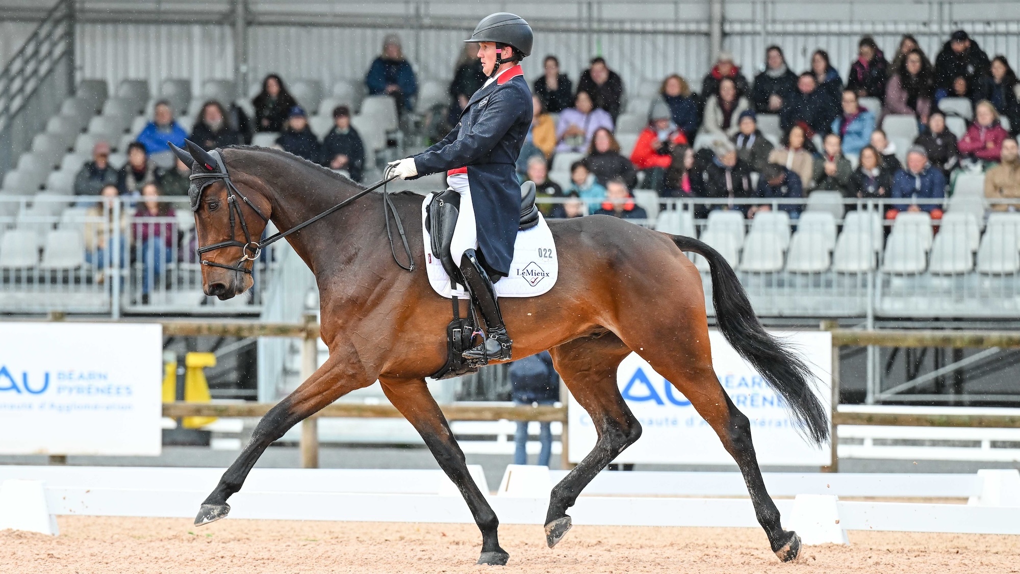 Tom McEwen and Quintus take the lead at Pau horse trials dressage 2026