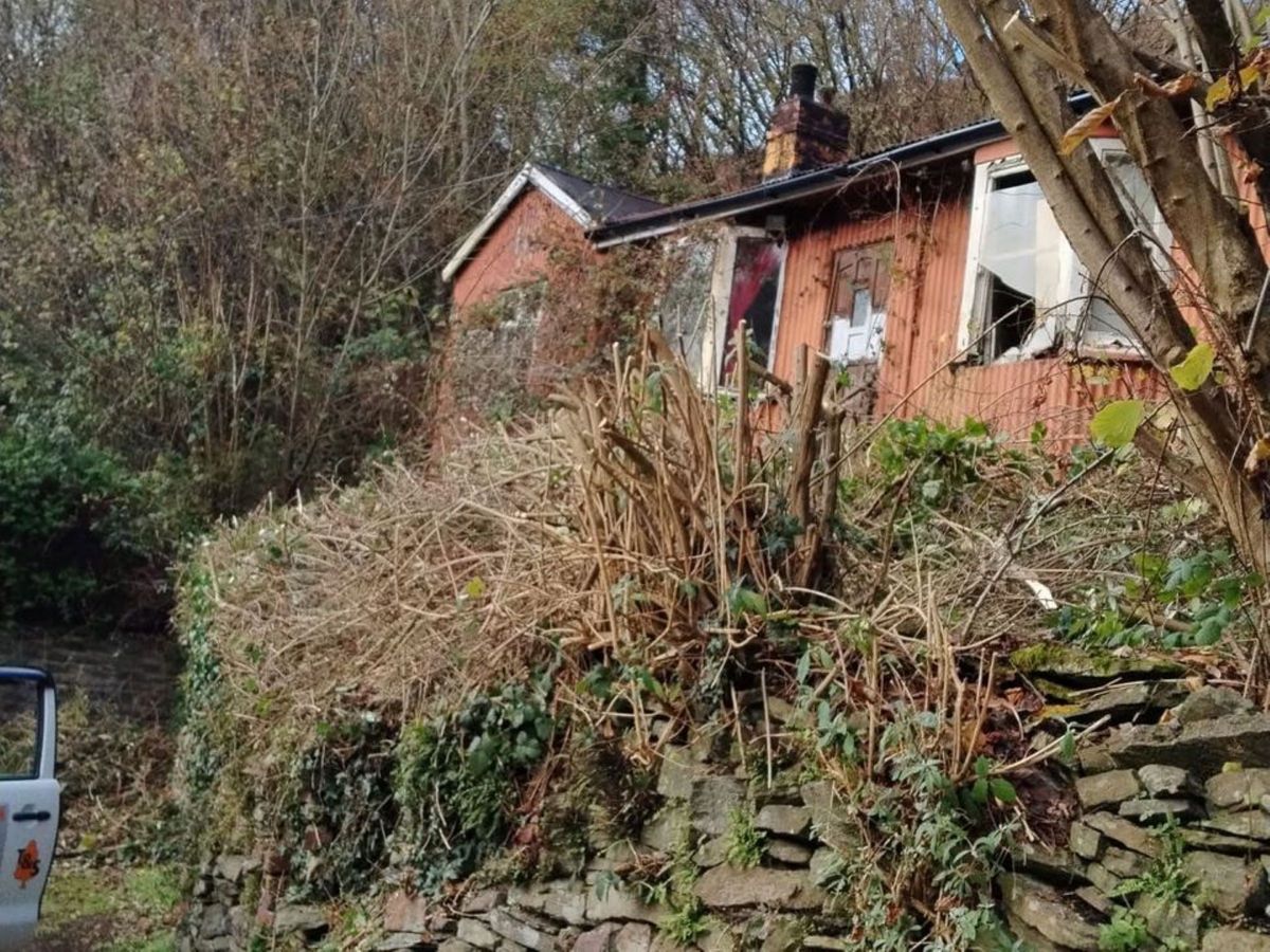 A cut back front garden growing out on top of a stone wall on the steps leading up to joining bungalows
