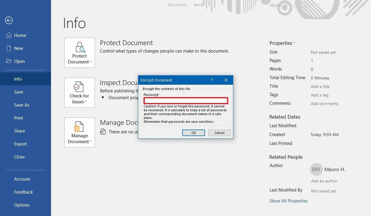 How To Password Protect Microsoft Office Documents Windows Central