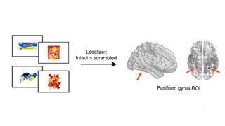 Images from a scientific paper on using brain scans to resolve logo design disputes