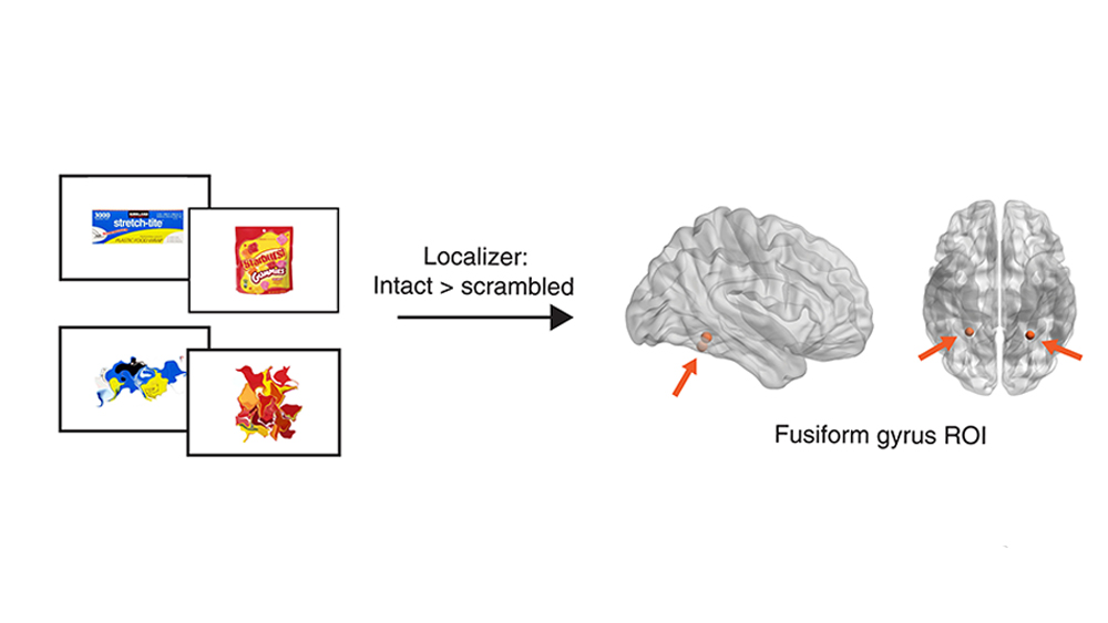 Images from a scientific paper on using brain scans to resolve logo design disputes