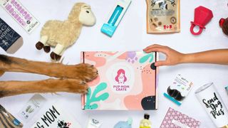 Pup Mom Crate dog subscription box